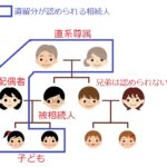 遺留分が認められる相続人図